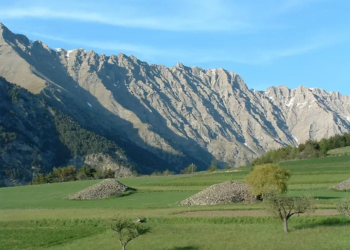 Bel'air 2* 조시에르